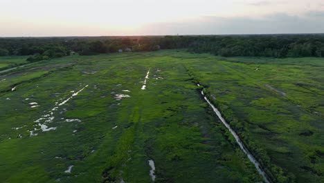 marshland, wetland and forest landscape of american suburbia at sunset. aerial wide shot. peaceful nature landscape