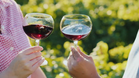 two hands with glasses of wine slowly stir it wine tour