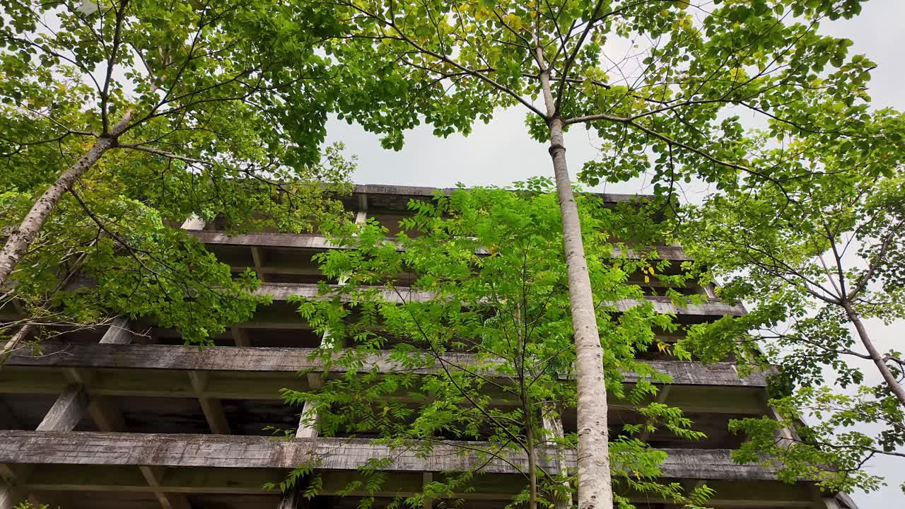 Deep in the quiet hills of Ranong, Thailand, stands a ghost building swallowed by trees. Locals say strange sounds echo here at night — whispers from a time long forgotten. View is looking upward