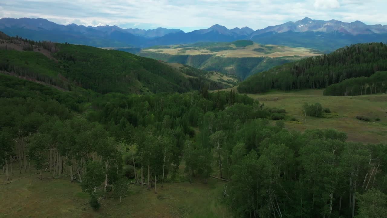 лето telluride колорадо воздушный беспилотник последний доллар дорога аэропорт горнолыжный курорт ящерица голова уилсон пик пейзаж виста сан-хуан скалистые горы диапазон uncompahgre лес аспен дерево роща назад движение