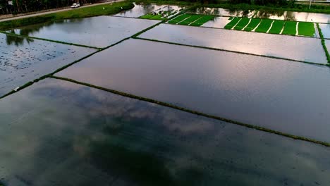 Vista-Aérea-De-Las-Terrazas-De-Arroz-De-Batad,-Filipinas