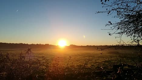 Early-morning-golden-glowing-sunrise-over-misty-cold-autumn-farmland-meadow