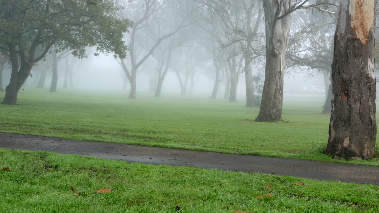 차가운 안개 낀 아침에 도시 공원