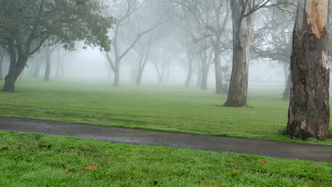 Urban-park-on-a-cold-misty-morning