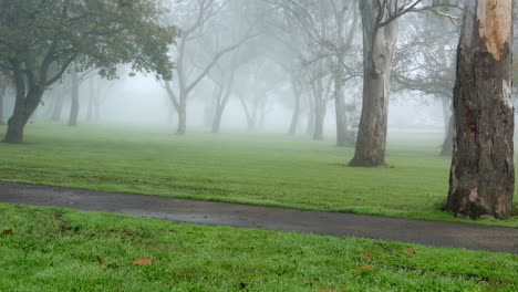 urban park on a cold misty morning