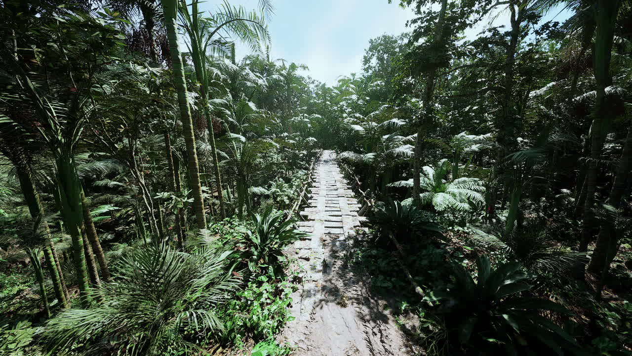 Lush pathway through dense forest in bolivia during midday sunlight