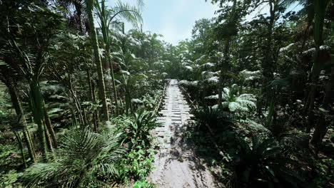 lush pathway through dense forest in bolivia during midday sunlight