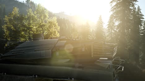 old rusty tank in the forest at sunset