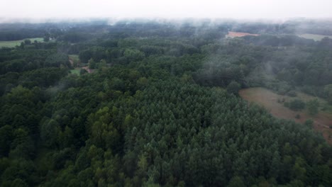 Vuelo-En-Un-Día-Nublado-Sobre-El-Bosque-Hacia-Las-Nubes