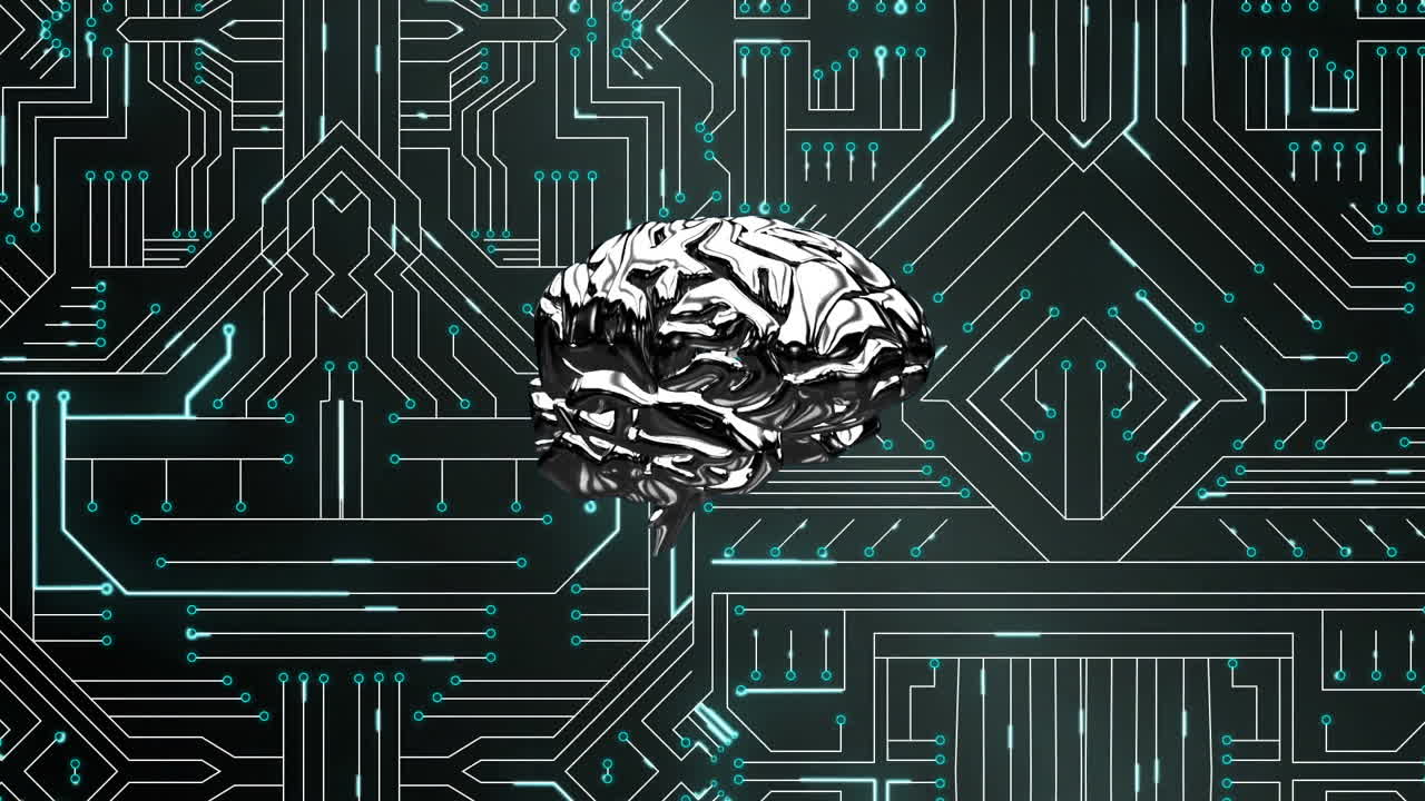 Brain and digital circuit