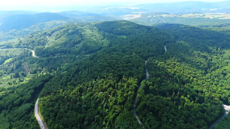 Winding road through green woods. A winding road cuts through a lush green forest, showcasing nature's beauty and the tranquil setting during daylight