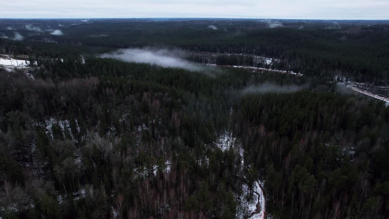 A dense forest shrouded in mist, creating an atmospheric view of treetops and bare branches under an overcast sky.