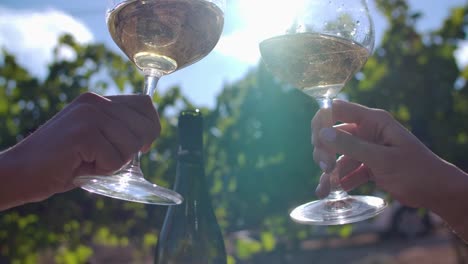 en un viñedo, dos copas con vino blanco haciendo un brindis