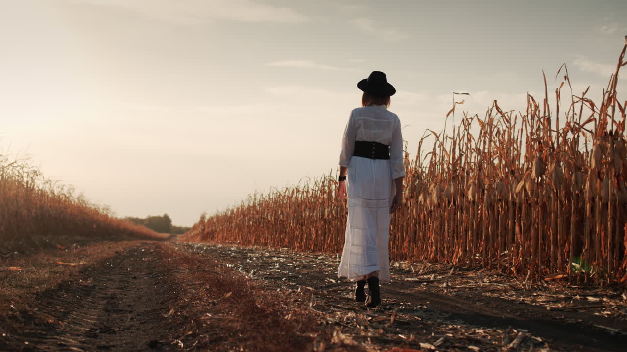 granjero con vestido y sombrero camina en un campo de maíz maduro 2