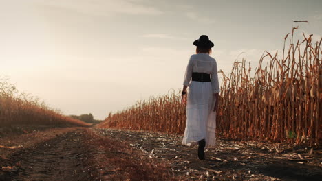 farmer in a dress and hat walks in a field of ripe corn 2