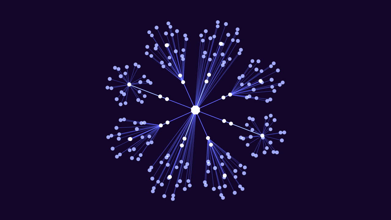 Symmetrical snowflake intricate branch-like pattern in black and white