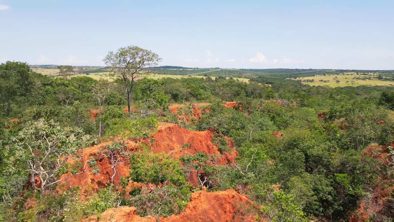 Zdegradowany rezerwat Cerrado w Brazylii, ukazujący silną erozję czerwonej gleby i głębokie wąwozy spowodowane degradacją ziemi, zagrażające glebie, roślinności i stabilności lokalnego ekosystemu