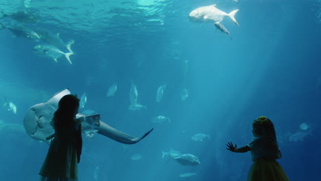 little girls in aquarium looking at stingray swimming with fish in tank happy children watching marine animals in oceanarium having fun learning about sea life in aquatic habitat