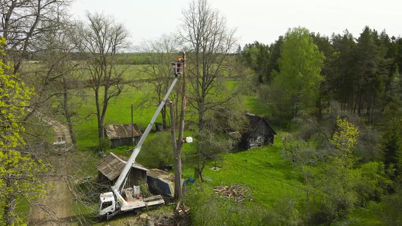Professionel arborist i en liftbil bruger en motorsav til at beskære et stort, farligt træ i en landlig baghave, mens vedkommende udfører vigtige tjenester inden for træbeskæring og -fældning.