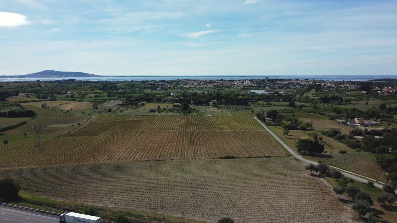Vineyards and Coastal Town Aerial View