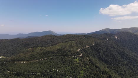 山地綠樹森林空中景觀