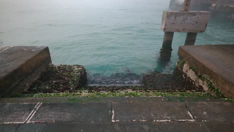 el muelle nebuloso de venecia y los escalones cubiertos de algas