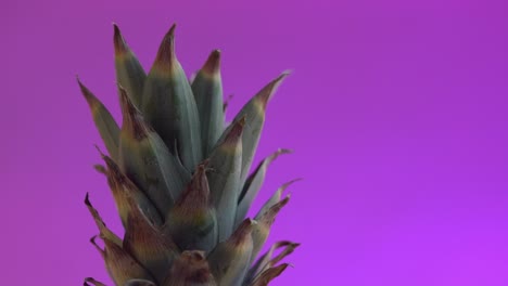 Closeup-of-green-leaves-in-pineapple-wreath