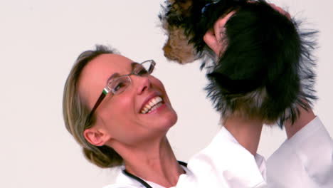 vet holding up yorkshire terrier puppy and smiling