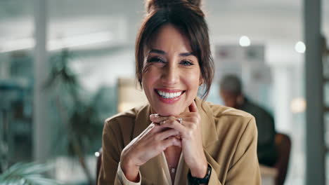 portrait of a smiling businesswoman in an office