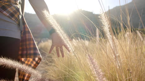 hiking in mountains, woman touching tall grass in sunlight, enjoying nature, copy space
