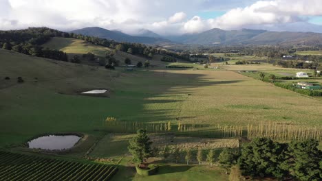 aerial drone pan around green rural farm land with stunning mountain and blue sky cloud background with trees and paddock landscape on low setting sun autumn evening