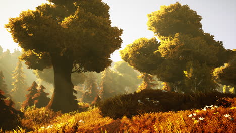Cartoon-Bewaldete-Waldbäume-Mit-Hintergrundbeleuchtung-Durch-Goldenes-Sonnenlicht