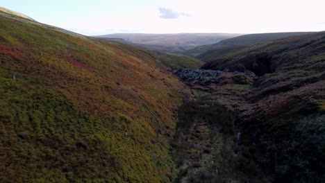 low dramatic shot of a lush valley full of ferns with a rock pile from a very old building at the bottom of the valley