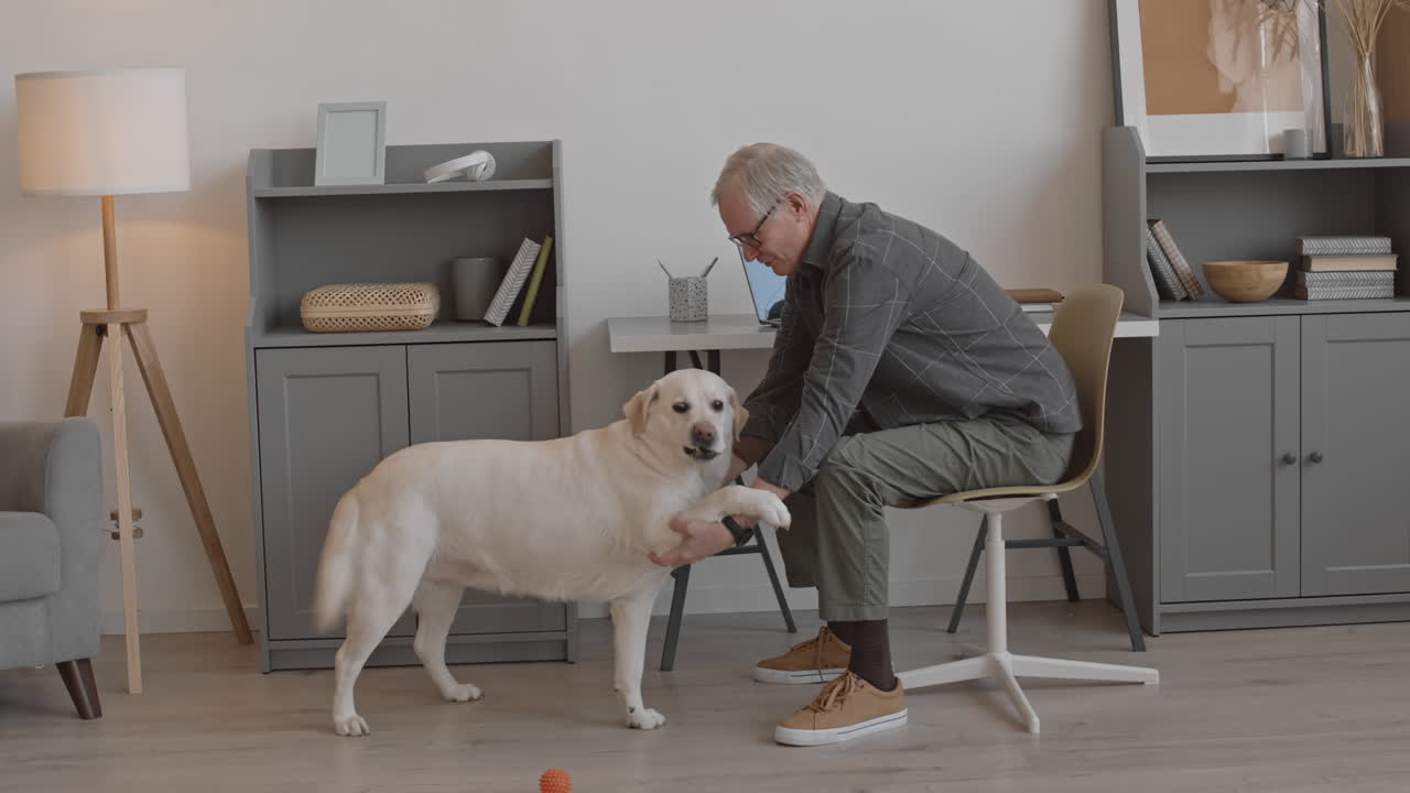 Senior Man Playing with Dog at Home