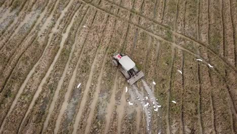 Vista-Aérea-Del-Tractor-Trabajando-En-El-Gran-Campo-De-Arroz.