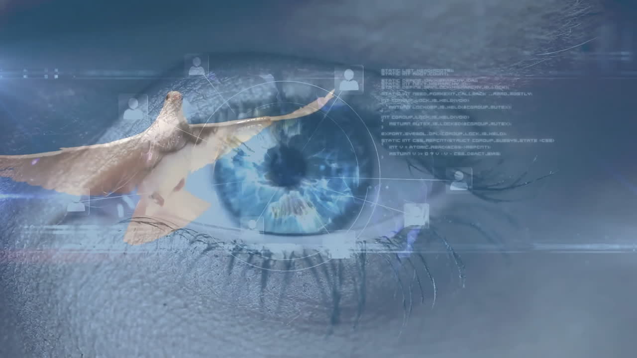 Nærbillede af menneskeøje med digital interface og fugleanimation