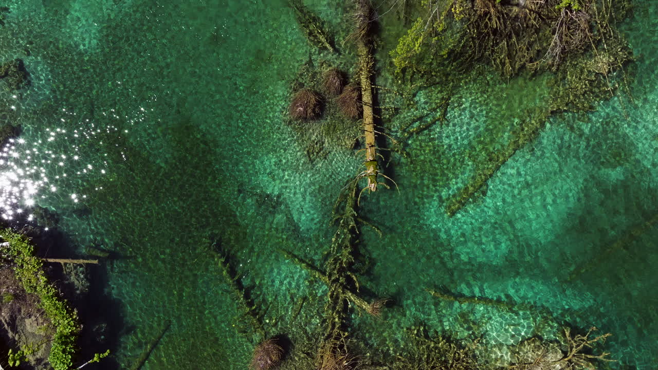 Turquoise Water With Submerged Logs And Branches Next To Wooden Boardwalk At Plitvice Lakes National Park In Croatia. aerial topdown shot