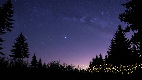 starry forest night