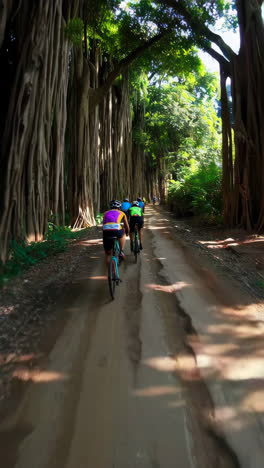 cyclists riding through a tropical forest