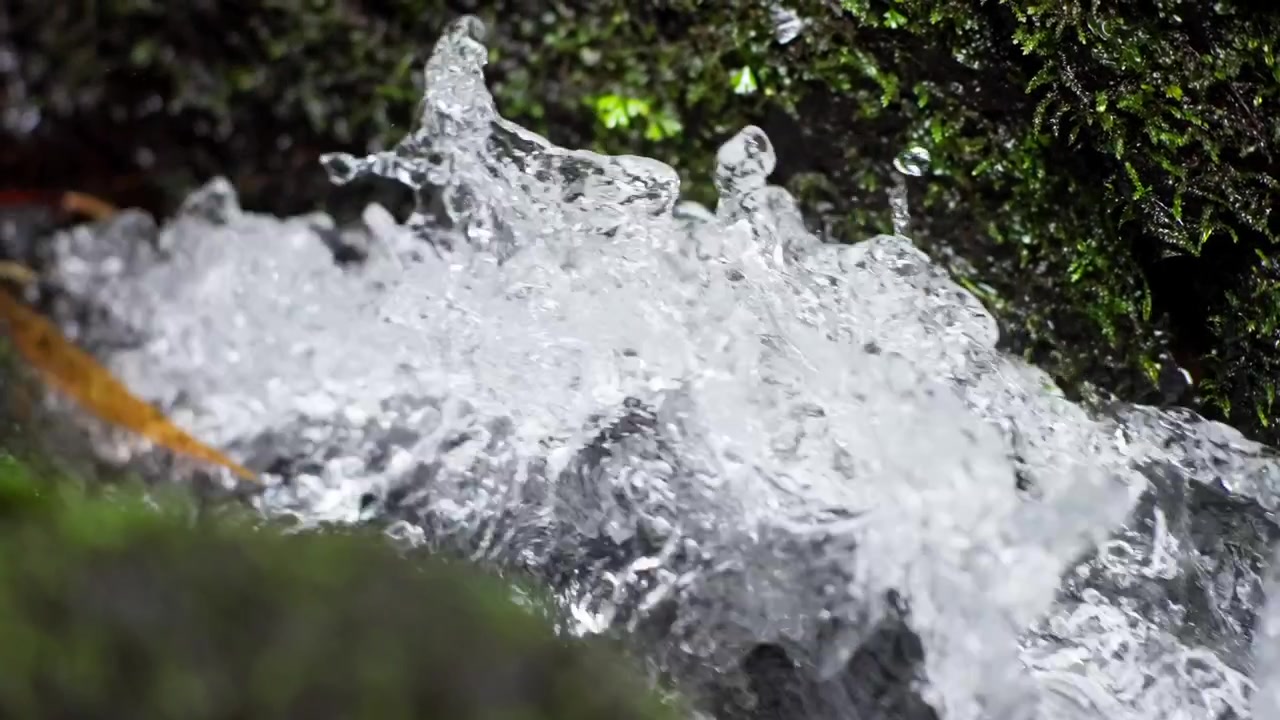 Agua fresca y cristalina salpica dinámicamente a través de un estrecho canal de oscuras piedras de bosque cubiertas de musgo.
