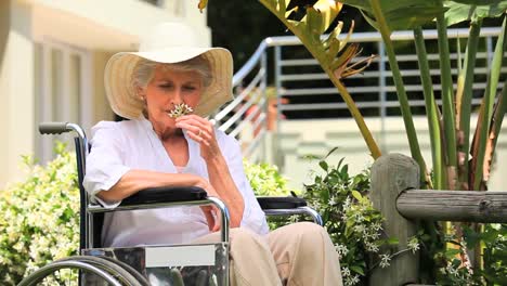 woman in a wheelchair smelling a flower