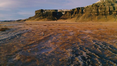 Female-walking-spacious-Mýrdalshreppur-Icelandic-landscape-admiring-enormous-mountain,-Orbiting-aerial-view