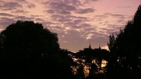 Stunning-Landscape-View-Of-Green-Trees-Under-Cloudy-Sky-At-Sunset-Time