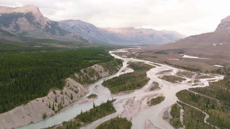 muñeca aérea en los arroyos del río rodeados de bosques de pinos, montañas rocosas canadienses en el fondo, parque nacional de banff, alberta, canadá