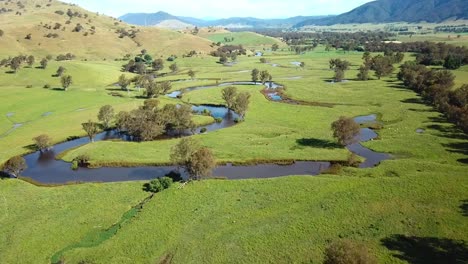 Drone-view-looking-upstream-over-billabongs-on-the-Mitta-Mitta-River-floodplain-at-Pigs-Point-near-Tallangatta-South,-in-north-east-Victoria,-Australia