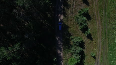 view from above car riding in shade. drone view car going near woods
