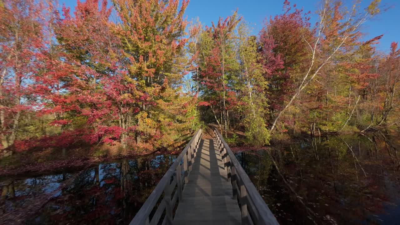 Wooden Footbridge Across The Autumn Forest During Sunrise Near Sainte-Julie In Quebec, Canada. FPV Shot