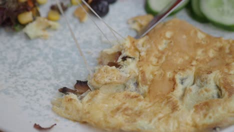 delicious mushroom and cheese omelet