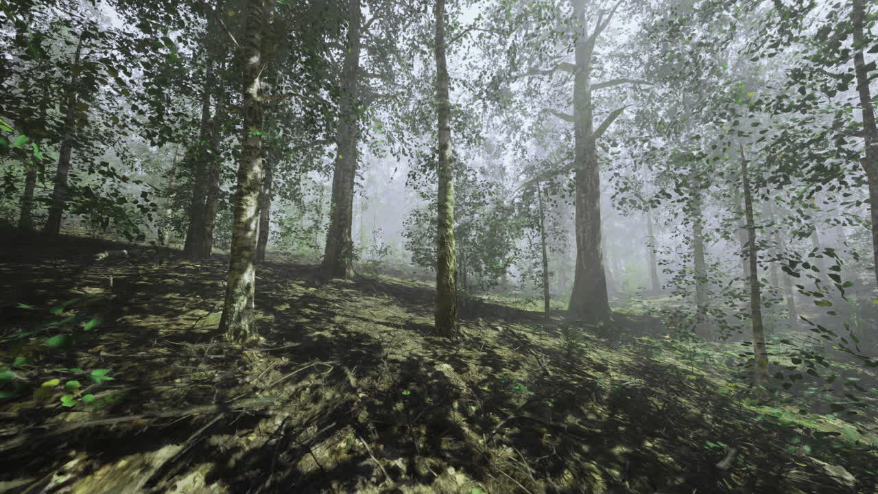 Serene forest landscape enveloped in morning mist at dawn