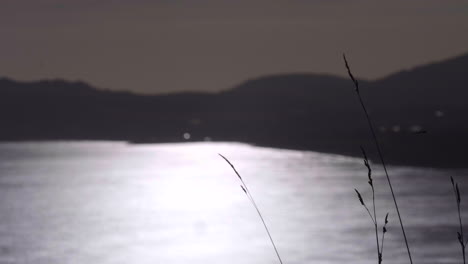 Caña-De-Hierba-Contra-Un-Lago-De-Agua-Borroso-Y-Pacífico-Durante-La-Puesta-De-Sol-En-Irlanda-Del-Sur-Cerca-De-Dublín